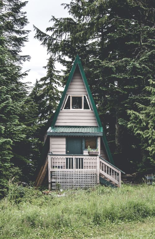 The image features a small, A-frame cabin nestled among tall trees, surrounded by lush green grass and a tranquil natural setting.