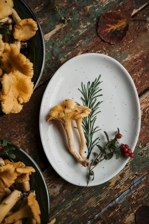 The image features a decorative plate with chanterelle mushrooms and herbs, set against rustic wooden textures.
